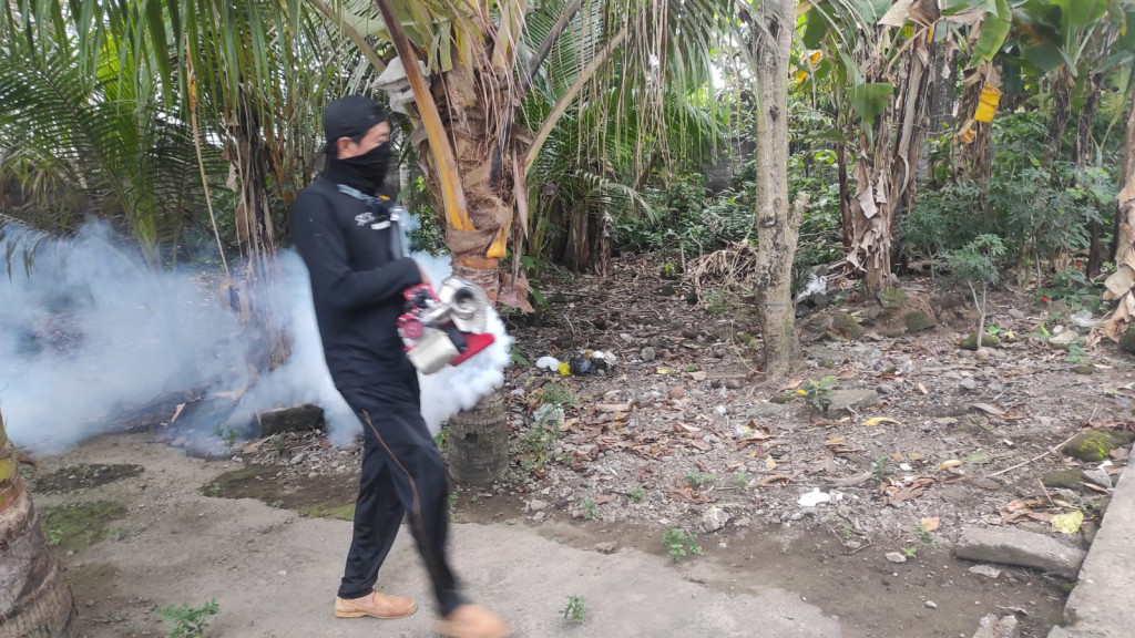 Pemberantasan Sarang Nyamuk ( Foging ) di Desa Kekeran